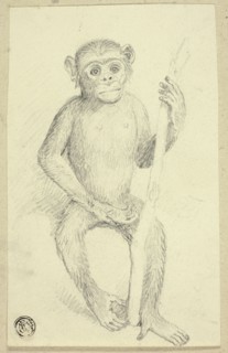 Orangutang, n.d. Creator: Edwin Henry Landseer.