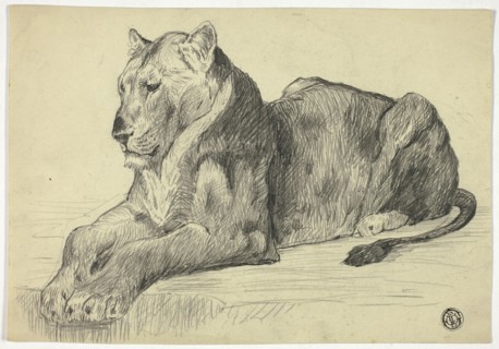Lioness, n.d. Creator: Edwin Henry Landseer.