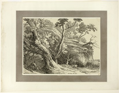Landscape with Large Trees, from the first issue of Specimens of Polyautography, 1802. Creator: Richard Cooper.