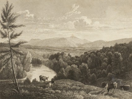 Catskill Mountains, n.d. Creator: Asher Brown Durand.