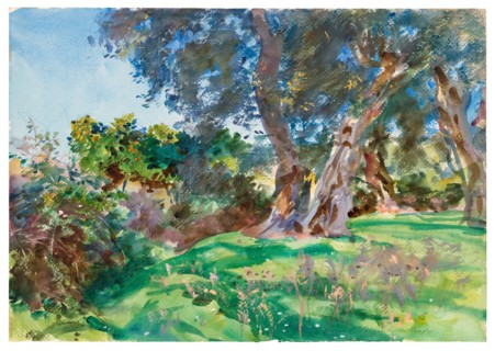 Olive Trees, Corfu, 1909. Creator: John Singer Sargent.