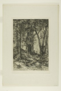 A California Forest, 1888. Creators: Mary Nimmo, Thomas Moran.