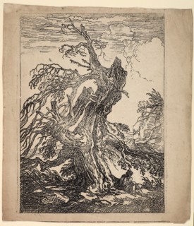 Study of a Tree, 1802. Creator: Raphael Lamar West.