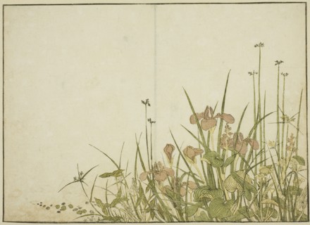Summer Flowers: Irises and Water Plantains, from the book "Mirror of Beautiful Women..., 1776. Creator: Shunsho.