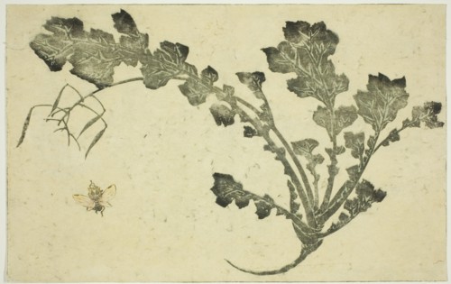 Wasp and turnip stalk, from "The Picture Book of Realistic Paintings of Hokusai..., Japan, c. 1814. Creator: Hokusai.