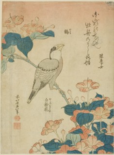 Japanese Grosbeak and Marvel of Peru (Ikaru, oshiroi no hana), from an untitled series...c. 1834. Creator: Hokusai.