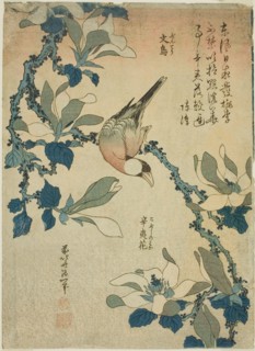 Paddy Bird and Magnolia Flowers (Buncho, kobushi no hana), from an untitled series..., c. 1834. Creator: Hokusai.