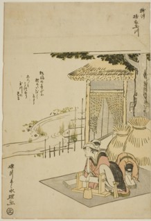 The Cloth-fulling Jewel River in Settsu Province (Settsu Toi no Tamagawa), from an..., c. 1785. Creator: Rekisentei Eiri.