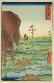 Kogane Plain in Shimosa Province (Shimosa Koganehara), from the series "Thirty-six Views..., 1858. Creator: Ando Hiroshige.