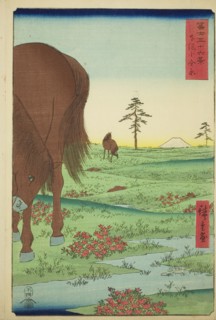 Kogane Plain in Shimosa Province (Shimosa Koganehara), from the series "Thirty-six..., 1858. Creator: Ando Hiroshige.