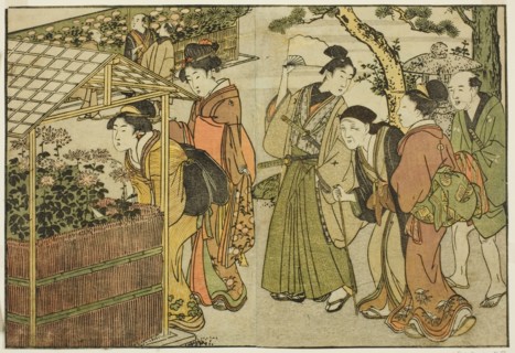 Display of Chrysanthemums, from the illustrated book "Picture Book: Flowers of..., New Year, 1801. Creator: Kitagawa Utamaro.