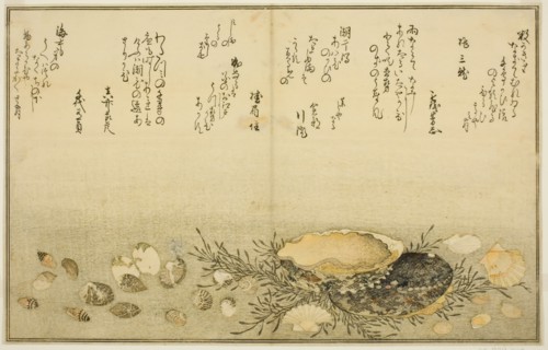 Chidori-gai, itaya-gai, awabi, utsuse-gai, asari-gai, and monoara-gai, from the illustrated...,1789. Creator: Kitagawa Utamaro.