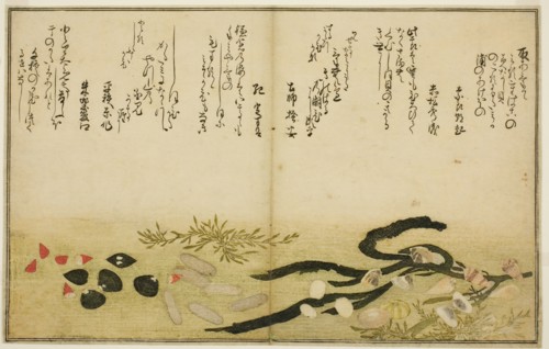 Minashi-gai, shio-gai, katatsu-gai, miso-gai, chijimi-gai, and chigusa-gai, from the illus..., 1789. Creator: Kitagawa Utamaro.