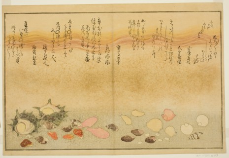 Shiro-gai, namima-gashiwa, makura-gai, iro-gai, aza-gai, sadae-gai, from the illustrated b..., 1789. Creator: Kitagawa Utamaro.