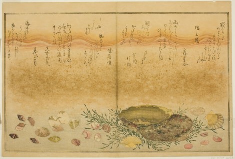 Chidori-gai, itaya-gai, awabi, utsuse-gai, asari-gai, and monoara-gai, from the illustrated...,1789. Creator: Kitagawa Utamaro.