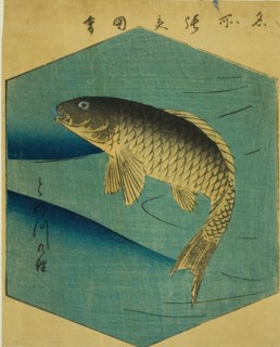 Carp in the Tone River (Tonegawa no koi), section of a sheet from the series "Cutout..., 1857. Creator: Ando Hiroshige.