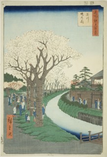 Blossoms on the Tama River Embankment (Tamagawa-zutsumi no hana), from the series..., 1856. Creator: Ando Hiroshige.