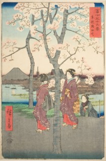 The Sumida Embankment in the Eastern Capital (Toto Sumida zutsumi), from the series "Thirty...,1858. Creator: Ando Hiroshige.