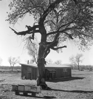 Temporary home, Bosque Farms project, New Mexico, 1935. Creator: Dorothea Lange.