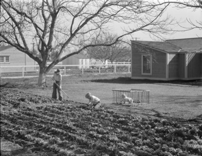 El Monte federal subsistence homesteads, California, 1936. Creator: Dorothea Lange.