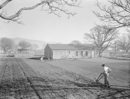 El Monte federal subsistence homesteads, California, 1936. Creator: Dorothea Lange.