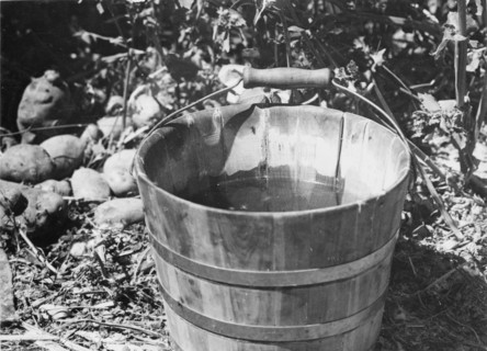 Water, Southern California, 1935. Creator: Dorothea Lange.