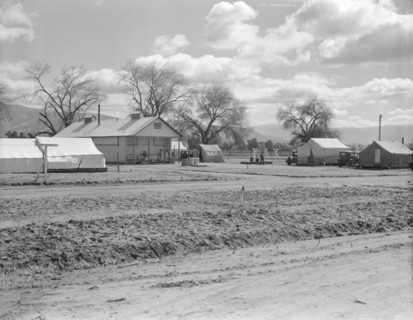 Kern County camp for migrants, fifteen miles out of Bakersfield, California, 1936. Creator: Dorothea Lange.