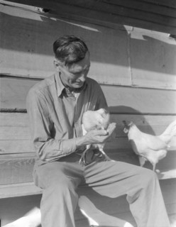 Rural rehabilitation client, San Fernando Valley, California, 1936. Creator: Dorothea Lange.
