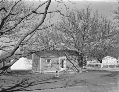 El Monte federal subsistence housing - 100 homes all occupied, California, 1936. Creator: Dorothea Lange.