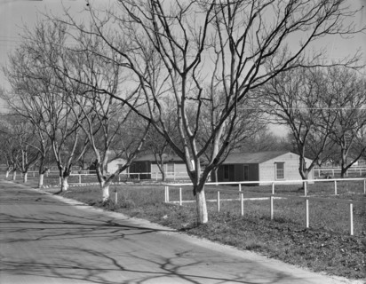 El Monte federal subsistence housing - 100 homes all occupied, California, 1936. Creator: Dorothea Lange.