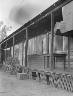 Housing, Brawley, Imperial Valley, California, 1935. Creator: Dorothea Lange.