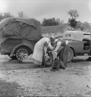 Migrant pea pickers on the road, California, 1936. Creator: Dorothea Lange.
