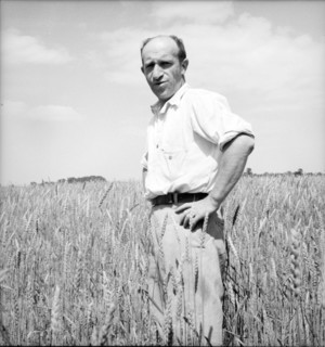 Member of the Hightstown farm group says: "Who says Jews can't farm?" Hightstown, New Jersey, 1936. Creator: Dorothea Lange.