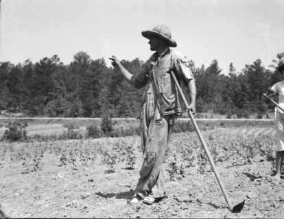 Alabama tenant farmer near Anniston, Alabama, 1936. Creator: Dorothea Lange.