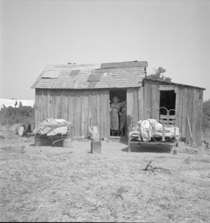 People living in miserable poverty, Elm Grove, Oklahoma County, Oklahoma, 1936. Creator: Dorothea Lange.