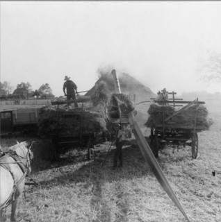The threshing of oats, Clayton, Indiana, south of Indianapolis, 1936. Creator: Dorothea Lange.