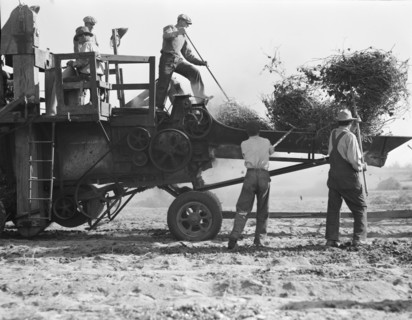 Bean thresher, mechanized agriculture between Turlock and Merced, California, 1936. Creator: Dorothea Lange.