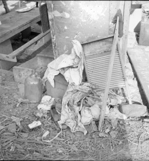 Dirty clothes and flies, American River camp, near Sacramento, California, 1936. Creator: Dorothea Lange.