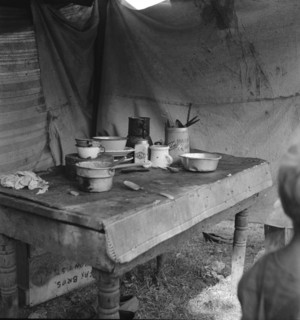 Food supply of migrant family, American River camp near Sacramento, California, 1936. Creator: Dorothea Lange.