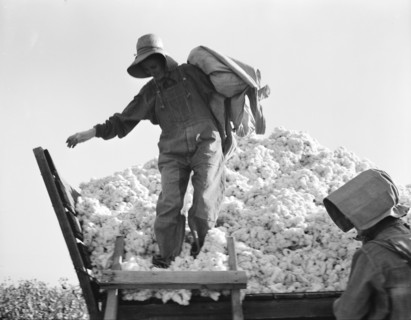 Cotton picker, San Joaquin Valley, California, 1936. Creator: Dorothea Lange.