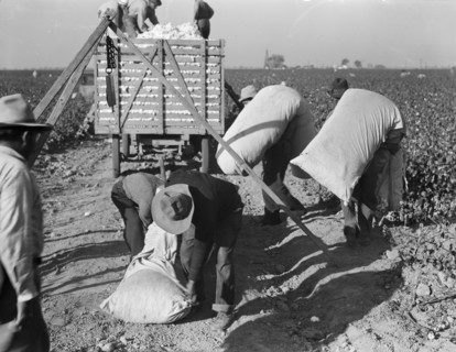 Cotton pickers bringing in their "pick" to be weighed, San Joaquin Valley, California, 1936. Creator: Dorothea Lange.