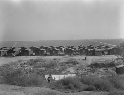 Company housing for Mexican cotton pickers, South of Corcoran, California, 1936. Creator: Dorothea Lange.