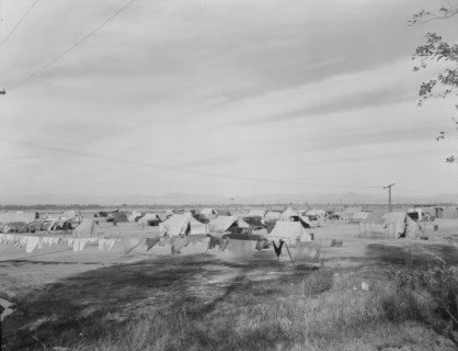 Auto camp north of Calipatria, California, 1937. Creator: Dorothea Lange.