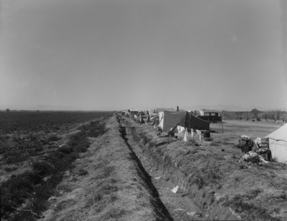 Squatter camp on county road near Calipatria, 1937. Creator: Dorothea Lange.