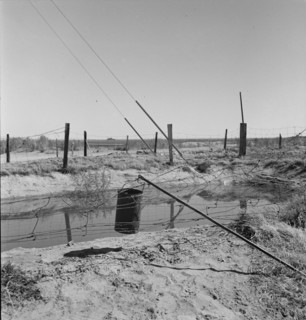 Water supply, California squatter camp near Calipatria, California, 1937. Creator: Dorothea Lange.