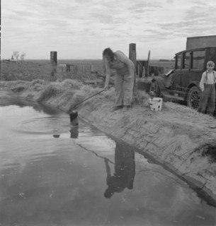 Water supply, California squatter camp near Calipatria, California, 1937. Creator: Dorothea Lange.