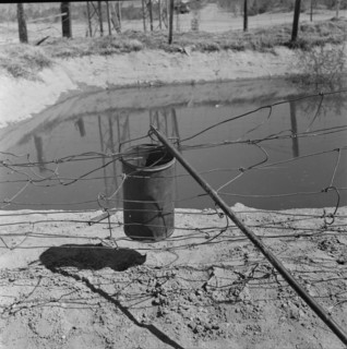 Water supply, California squatter camp near Calipatria, California, 1937. Creator: Dorothea Lange.