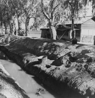 Ditch bank housing for Mexican field workers, Imperial Valley, California, 1937. Creator: Dorothea Lange.