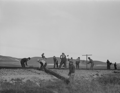 White section gang near King City, California, 1937. Creator: Dorothea Lange.