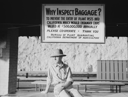 California state quarantine inspection station at Yuma, Arizona, 1937. Creator: Dorothea Lange.